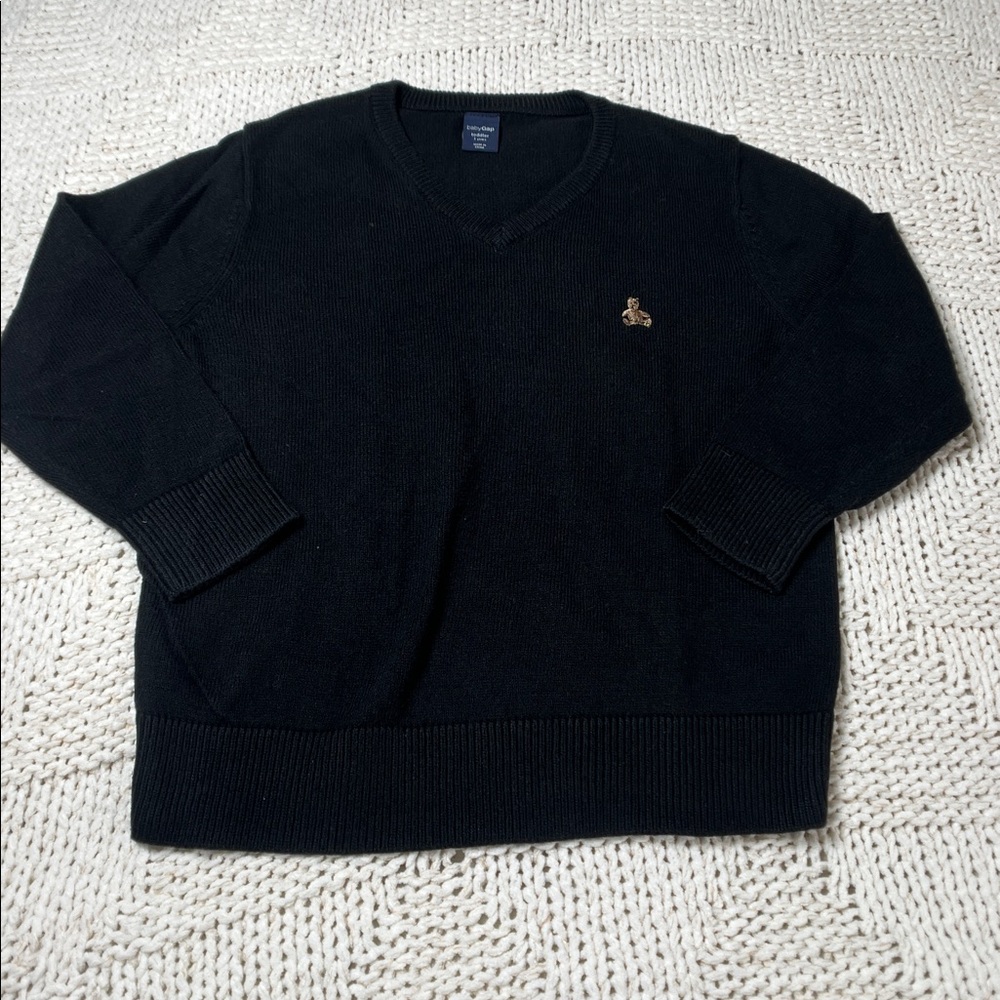 Baby Gap Sweater